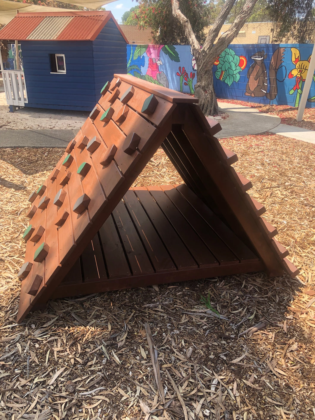 Climbing Wall