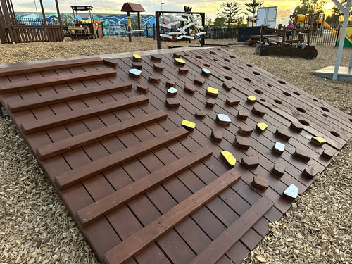 Custom Climbing Wall