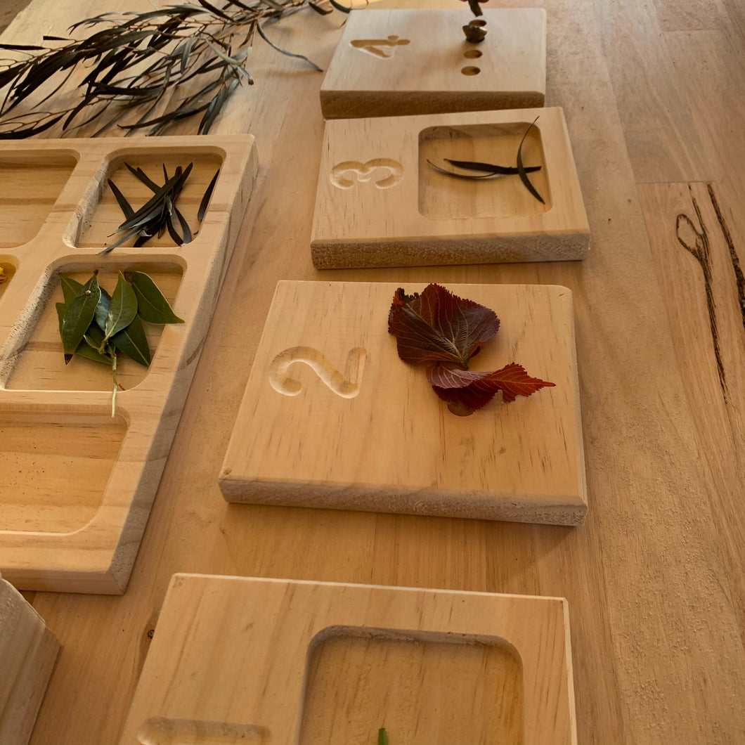 Double sided Counting Trays 1-10