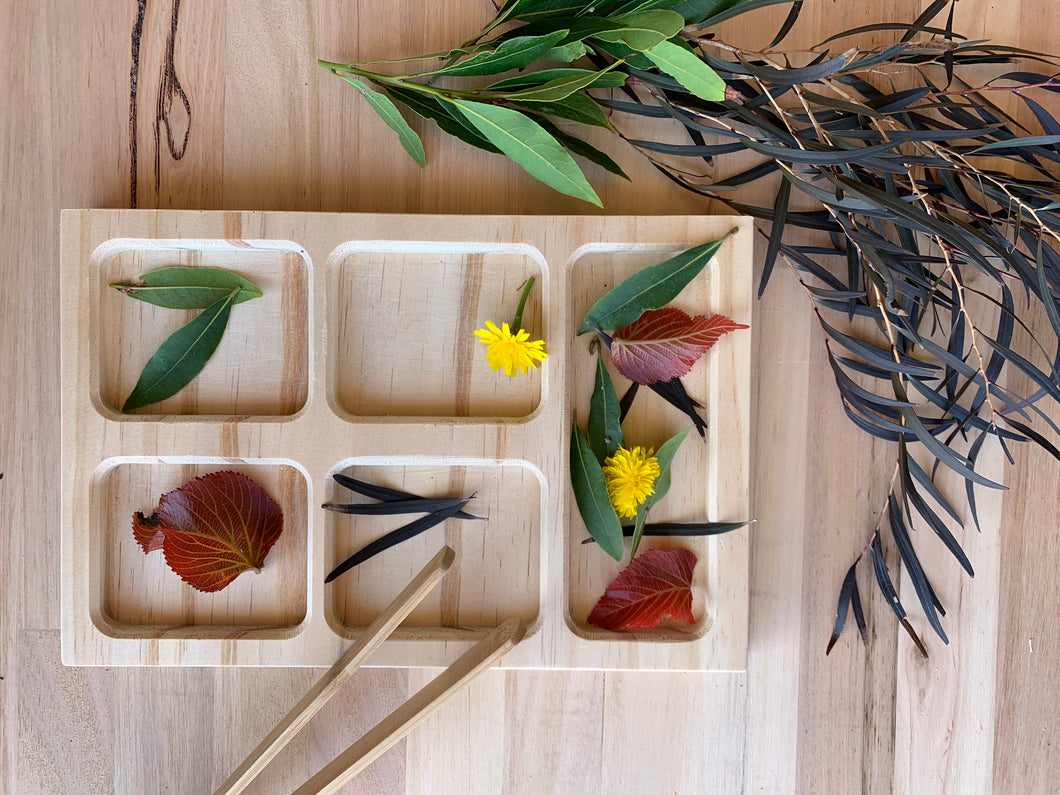 Sorting Tray